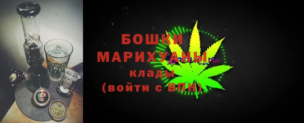 гидра Бронницы