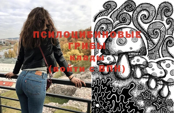 индика Волоколамск