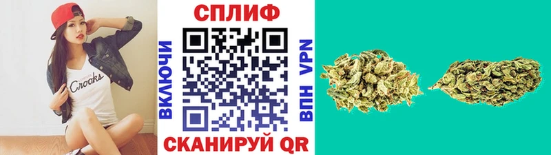 Купить закладки  Новохопёрск  Бошки марихуана Ganja 